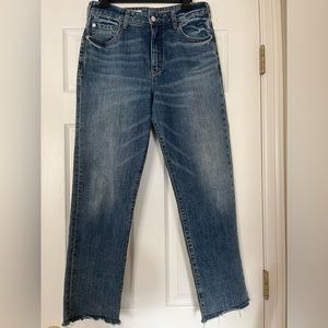 Anthropologie Pilcro The Vintage Straight Jeans